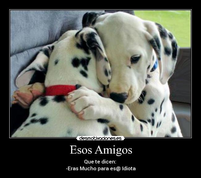 Esos Amigos - 