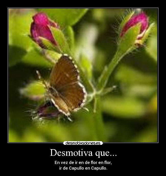 Desmotiva que... - 
