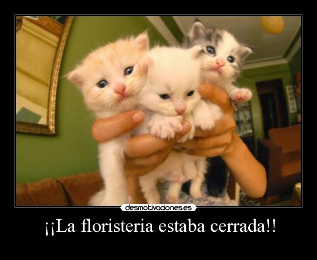 ¡¡La floristeria estaba cerrada!! -