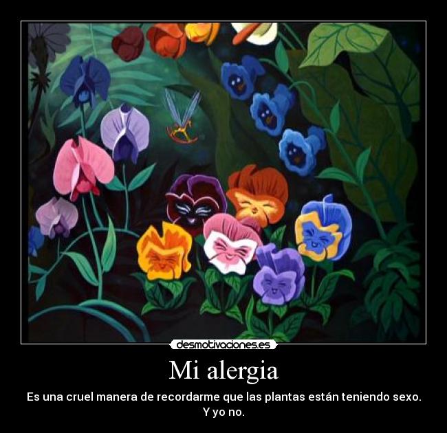 Mi alergia -