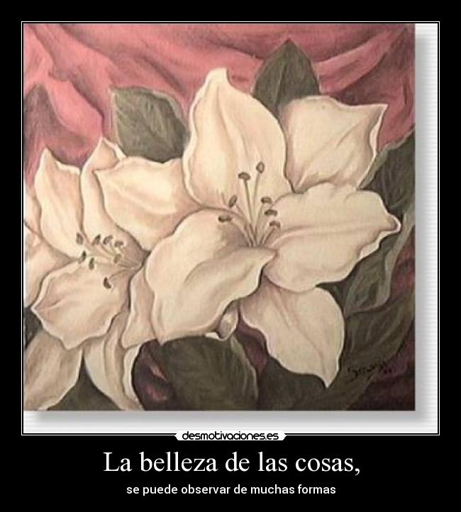 La belleza de las cosas, -
