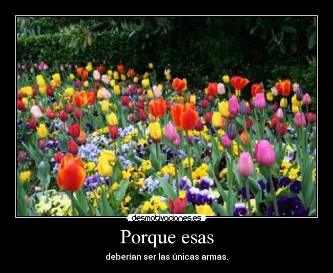 Porque esas - deberían ser las únicas armas.