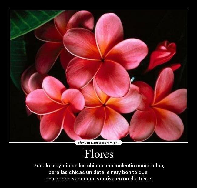 Flores - Para la mayoria de los chicos una molestia comprarlas,
para las chicas un detalle muy bonito que 
nos puede sacar una sonrisa en un dia triste.