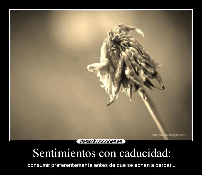 Sentimientos con caducidad: -