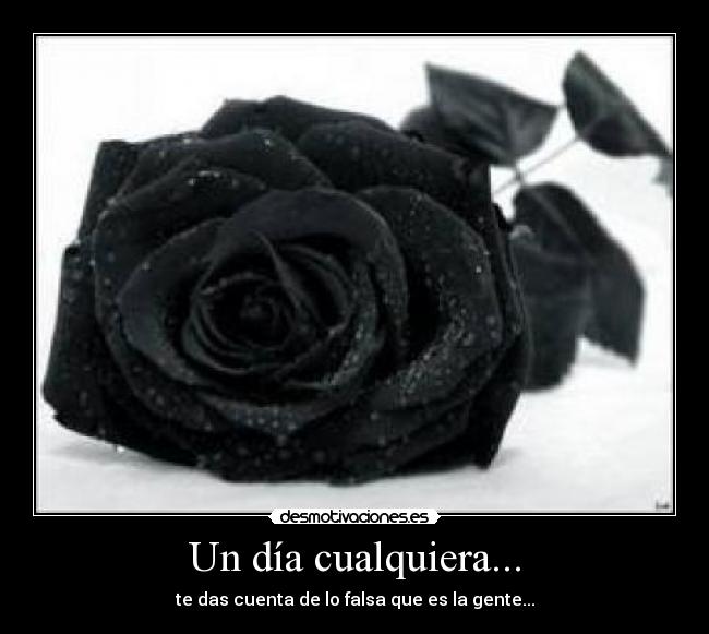Un día cualquiera... - te das cuenta de lo falsa que es la gente...