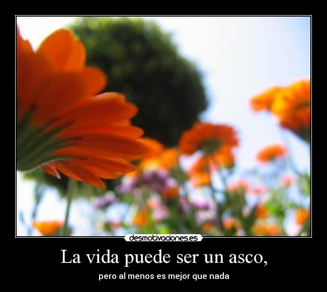 La vida puede ser un asco, - 