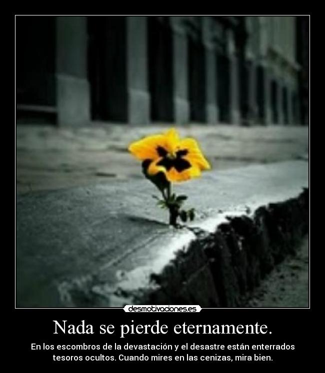 Nada se pierde eternamente. - En los escombros de la devastación y el desastre están enterrados
tesoros ocultos. Cuando mires en las cenizas, mira bien.