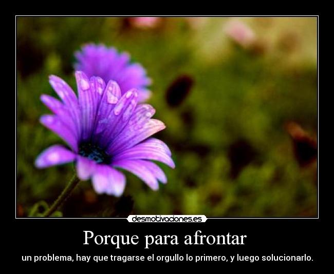 carteles  desmotivaciones