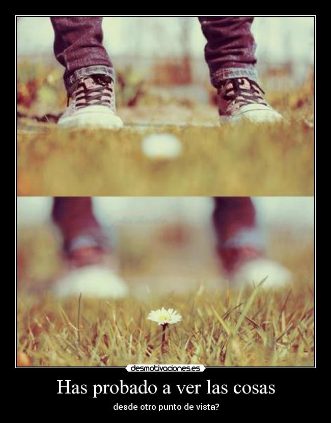 Has probado a ver las cosas - desde otro punto de vista?