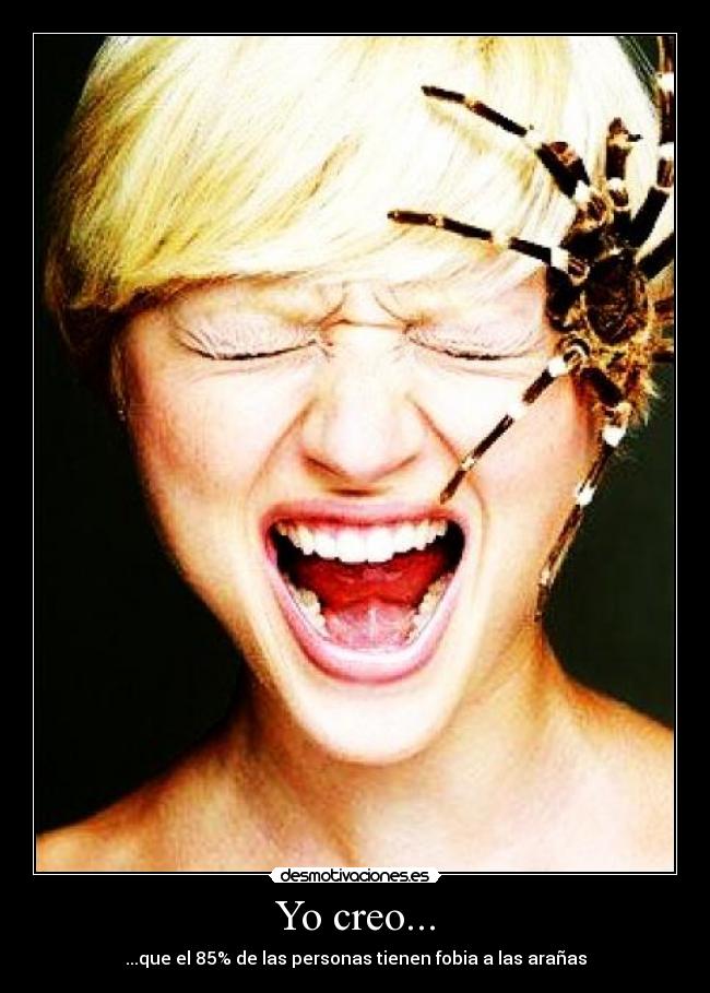 Yo creo... - ...que el 85% de las personas tienen fobia a las arañas
