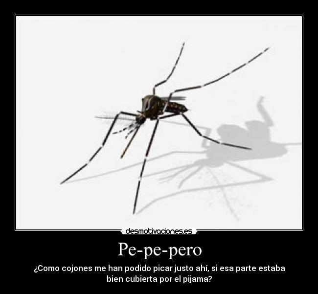 Pe-pe-pero - ¿Como cojones me han podido picar justo ahí, si esa parte estaba
bien cubierta por el pijama?