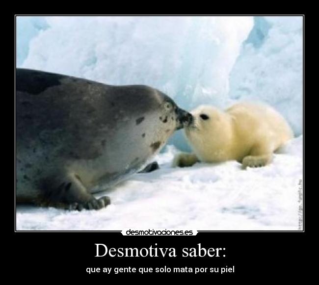 Desmotiva saber: -
