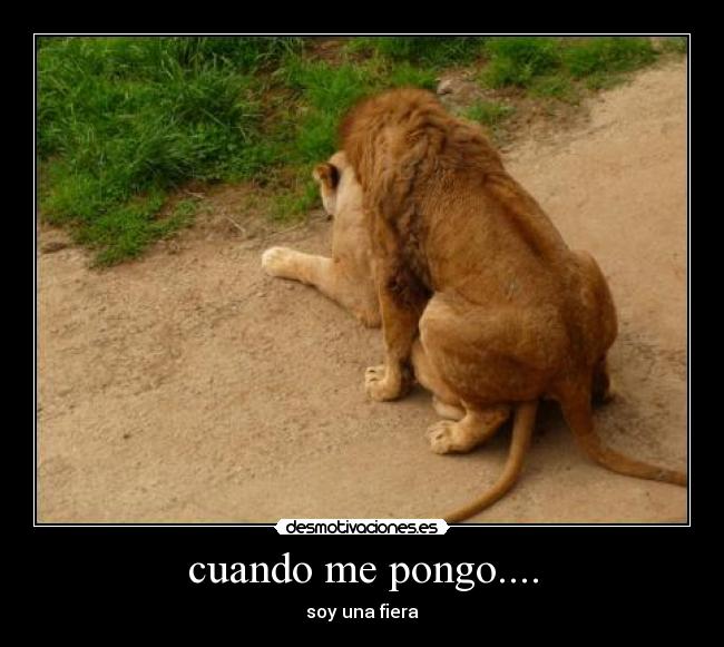 carteles humor desmotivaciones