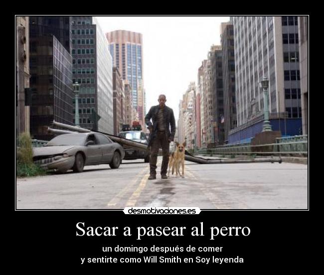 Sacar a pasear al perro - 