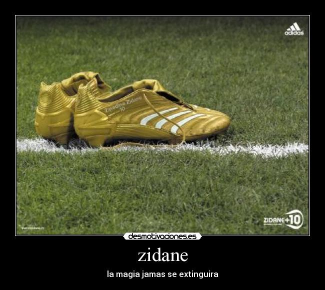 zidane - la magia jamas se extinguira