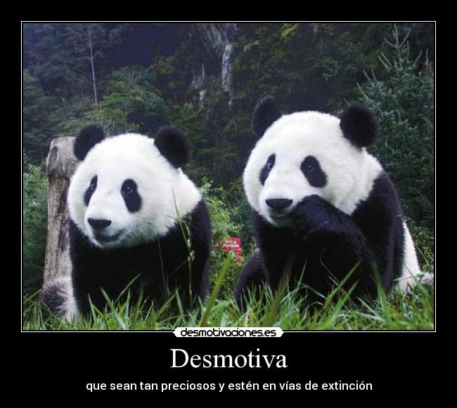 Desmotiva - 