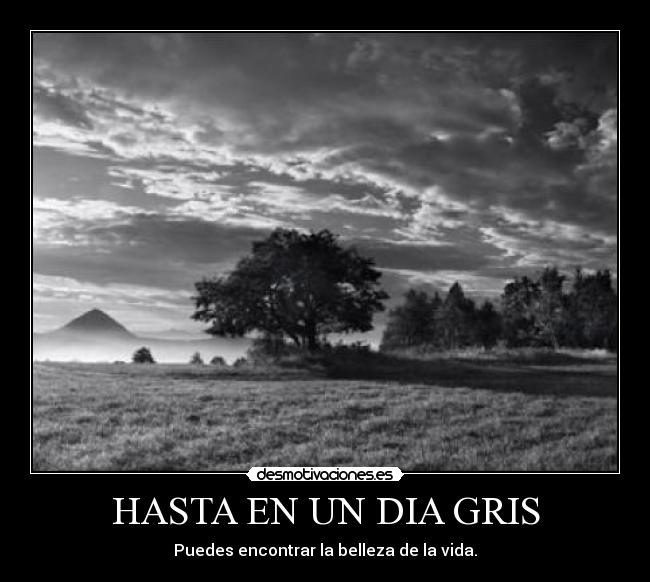 HASTA EN UN DIA GRIS - Puedes encontrar la belleza de la vida.