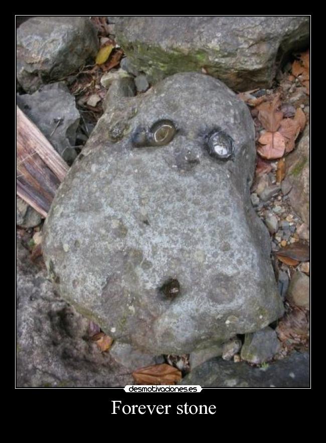 Forever stone - 