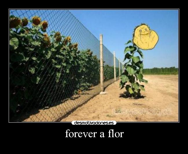 forever a flor - 