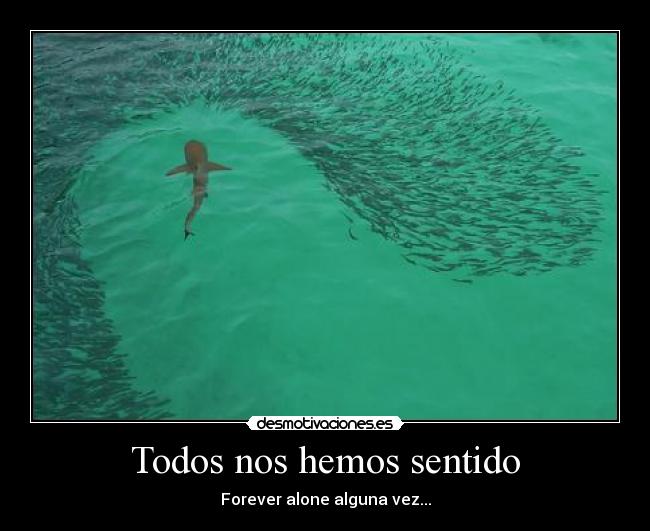 Todos nos hemos sentido - Forever alone alguna vez...