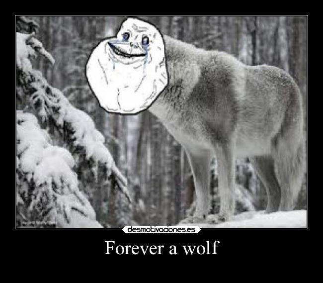 carteles forever wolf desmotivaciones