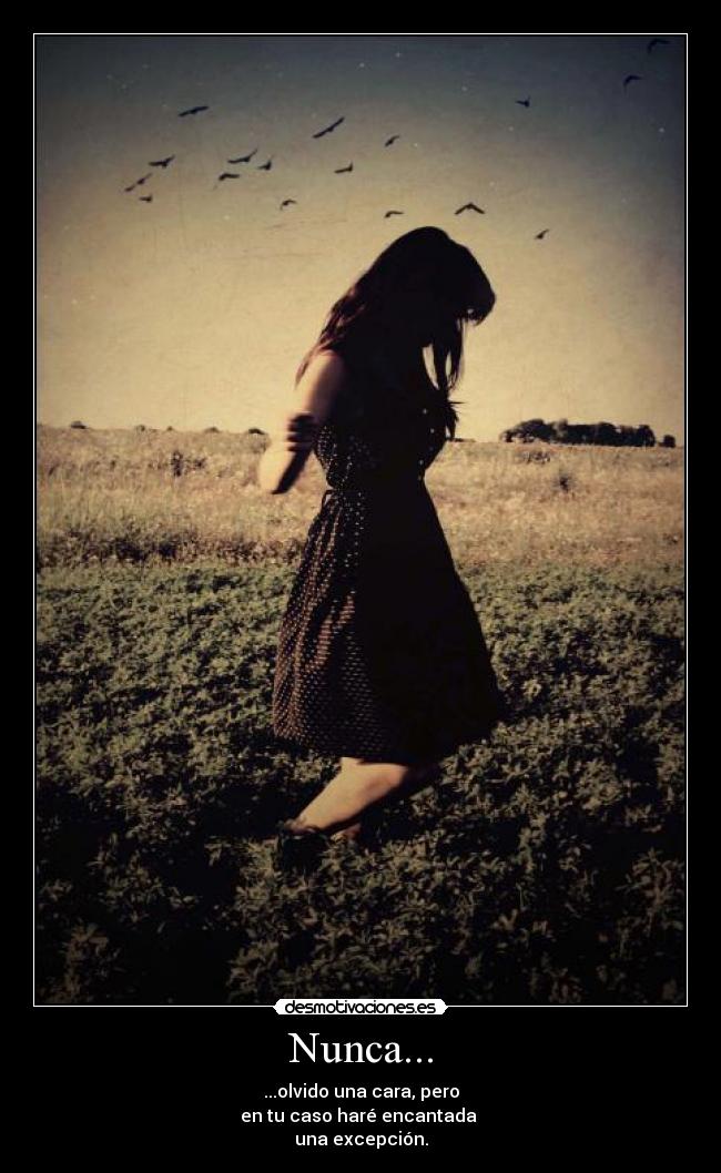 carteles excepcion desmotivaciones