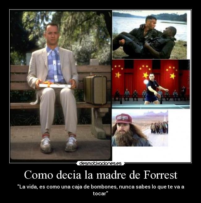 Como decia la madre de Forrest - La vida, es como una caja de bombones, nunca sabes lo que te va a tocar
