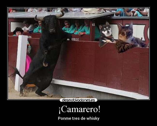 ¡Camarero! -