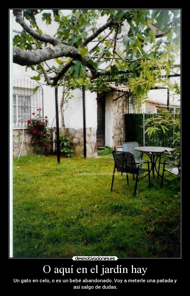 O aquí en el jardín hay - Un gato en celo, o es un bebé abandonado. Voy a meterle una patada y
así salgo de dudas.