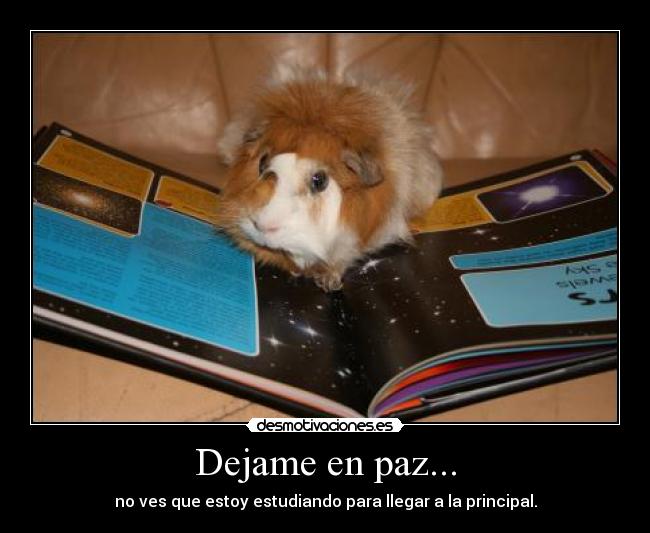 Dejame en paz... - 