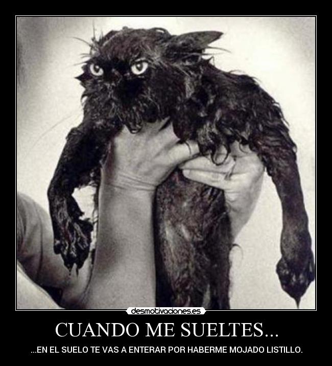CUANDO ME SUELTES... - ...EN EL SUELO TE VAS A ENTERAR POR HABERME MOJADO LISTILLO.