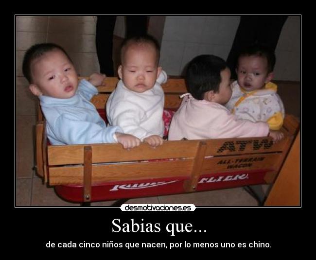 Sabias que... -