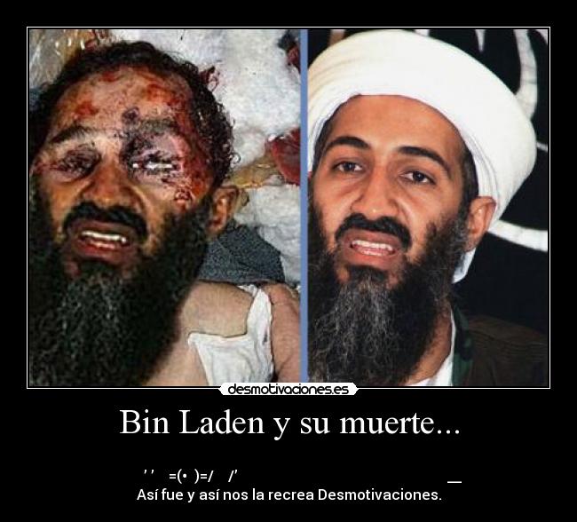 Bin Laden y su muerte... -
̿ ̿ ̿̿̿̿̿’̿’̵͇̿̿=(•̪●)=/̵͇̿̿/’̿̿ ̿ ̿ ̿ ಠ್__ಠ್
Así fue y así nos la recrea Desmotivaciones.