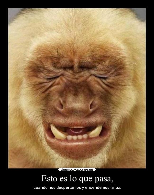 Esto es lo que pasa, - 