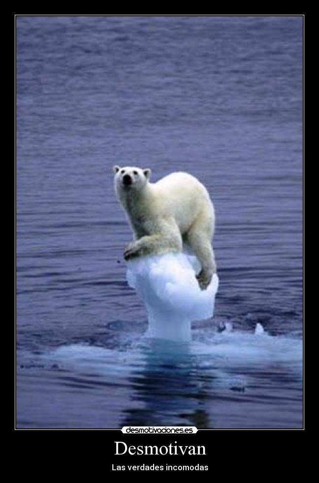Desmotivan - Las verdades incomodas