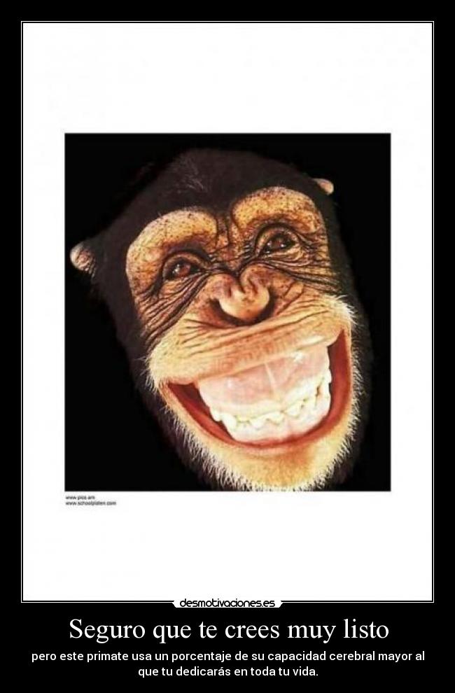 carteles primate mono chimpance sonrisa humano cerebro capacidad neuronas cociente intelectual esfuerzo pers desmotivaciones
