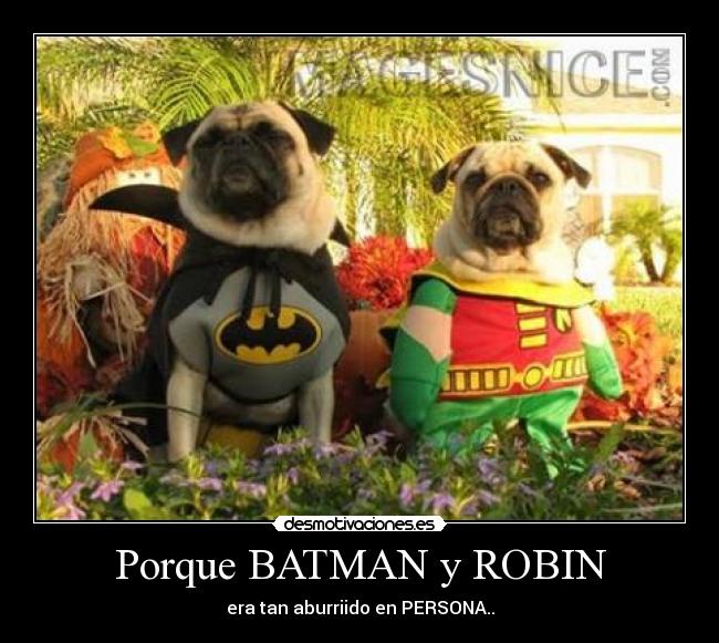 Porque BATMAN y ROBIN - era tan aburriido en PERSONA..