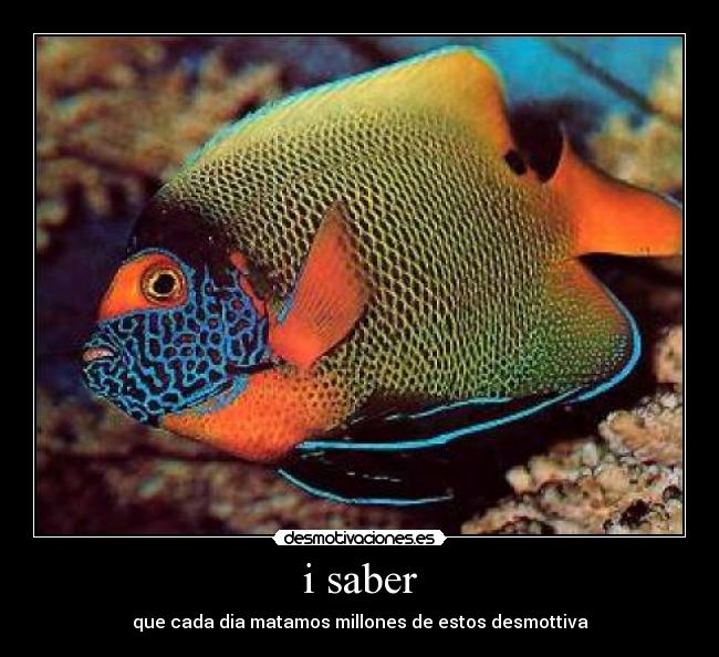 i saber - que cada dia matamos millones de estos desmottiva
