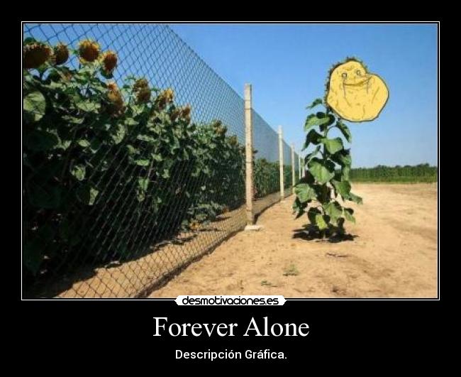 Forever Alone -