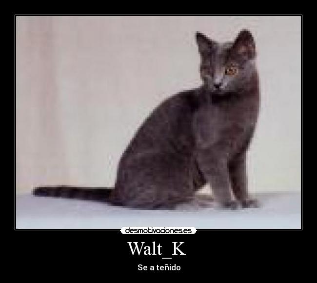 Walt_K - Se a teñido
