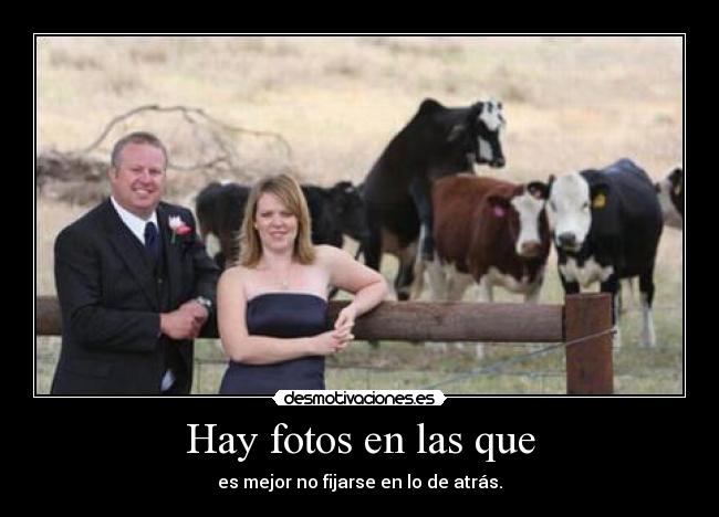 Hay fotos en las que - 