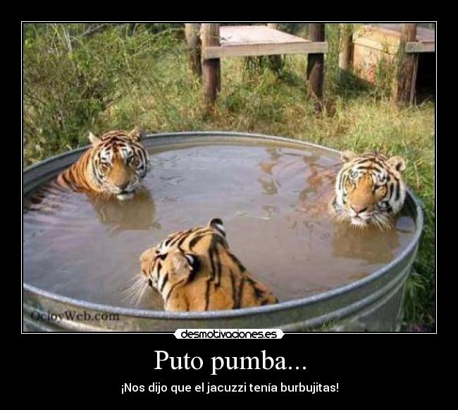 Puto pumba... - ¡Nos dijo que el jacuzzi tenía burbujitas!