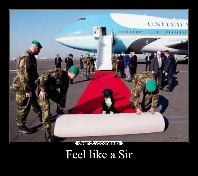 Feel like a Sir - 