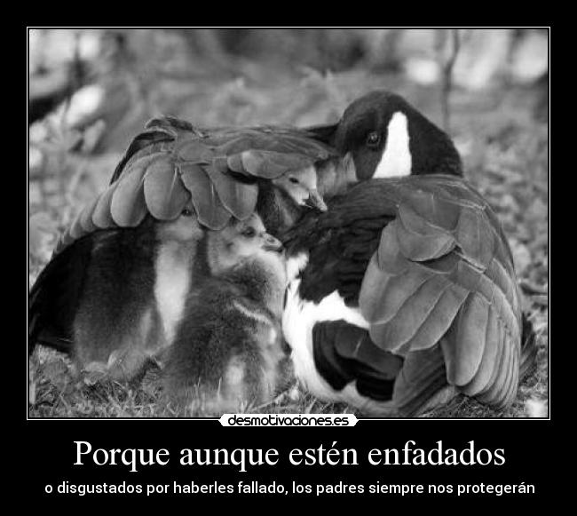 Porque aunque estén enfadados - o disgustados por haberles fallado, los padres siempre nos protegerán
