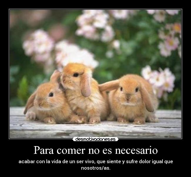Para comer no es necesario -