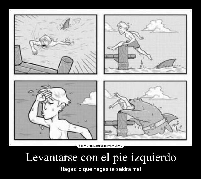 carteles oso tiburon pie izquierdo desmotivaciones