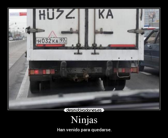 Ninjas -