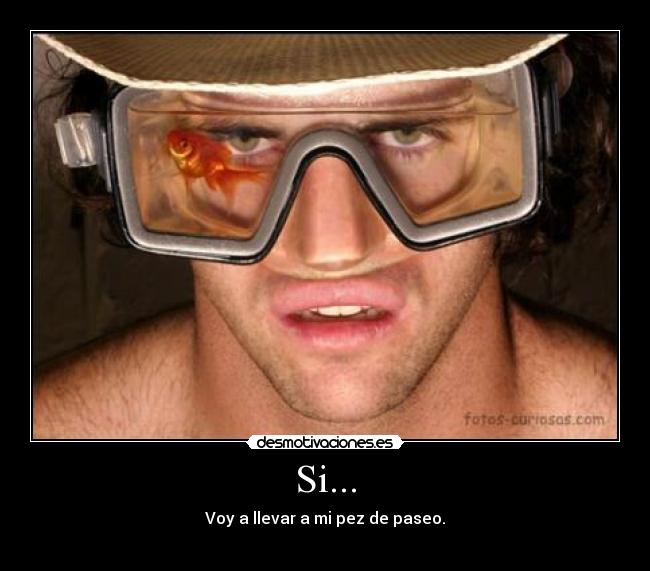Si... - Voy a llevar a mi pez de paseo.