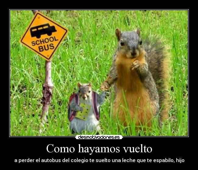 Como hayamos vuelto - 