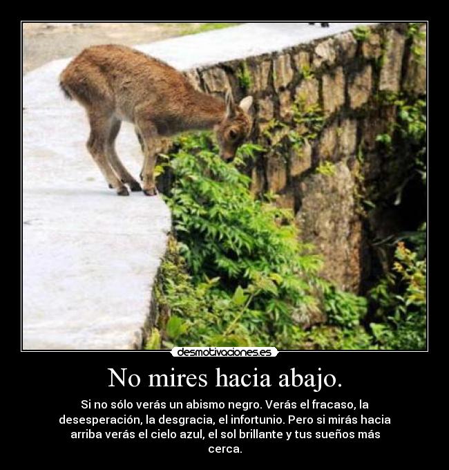 No mires hacia abajo. - Si no sólo verás un abismo negro. Verás el fracaso, la
desesperación, la desgracia, el infortunio. Pero si mirás hacia
arriba verás el cielo azul, el sol brillante y tus sueños más
cerca.